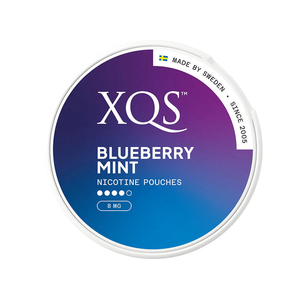 XQS Nicotine Pouch Blueberry Mint 8mg